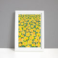 Field of Daffodils A4 Framed Print | Max Rocks